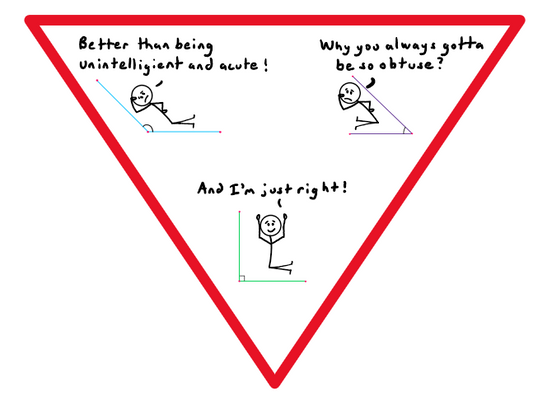 Fun with Angles Shirt